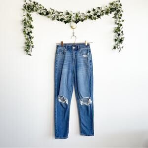 AMERICAN EAGLE Distressed Mom Jeans 2 Regular